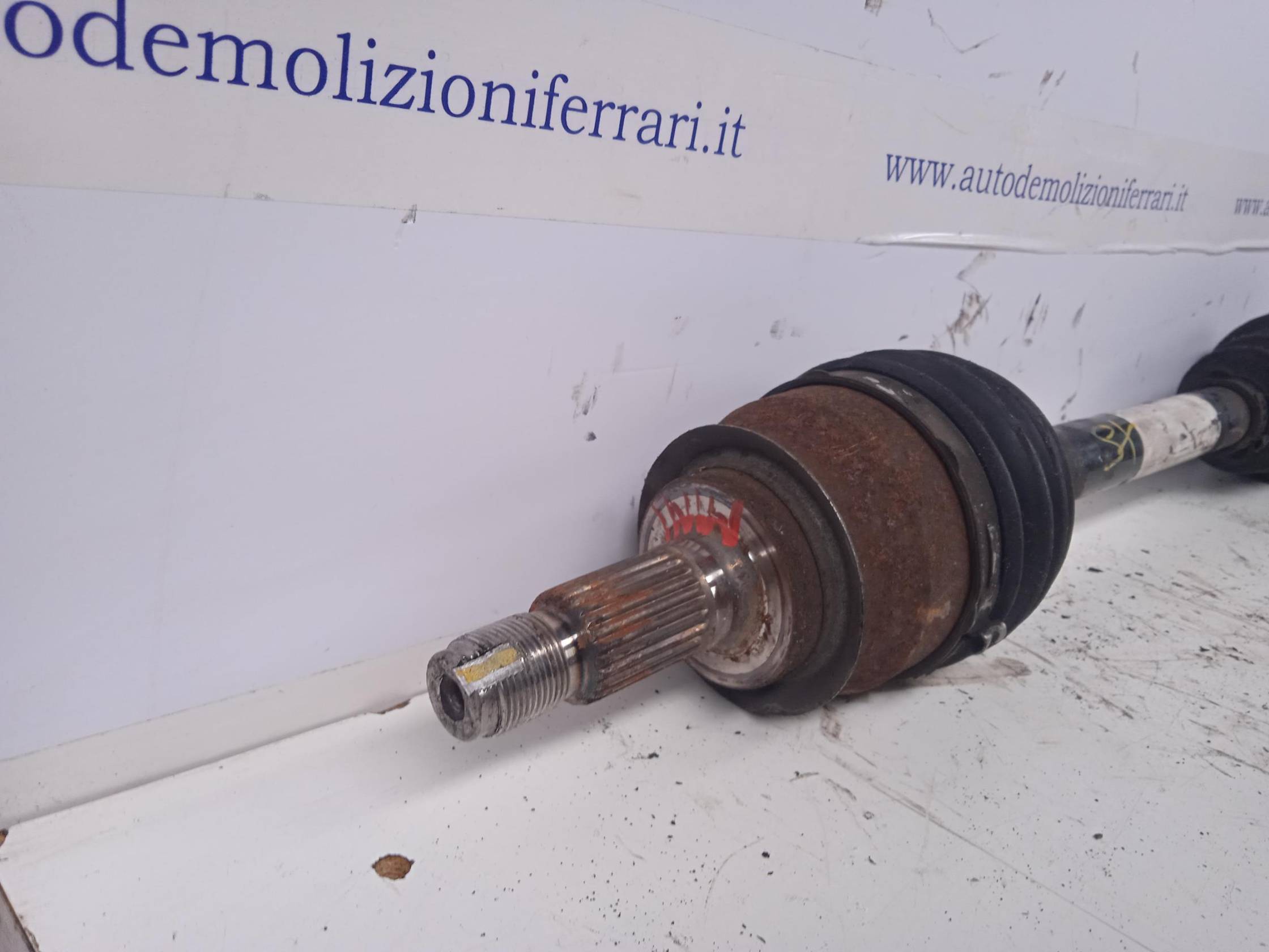 Semialbero ant. compl. sx.